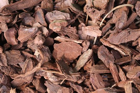 Le Guide Du Paillage Au Jardin La Terre Est Un Jardin