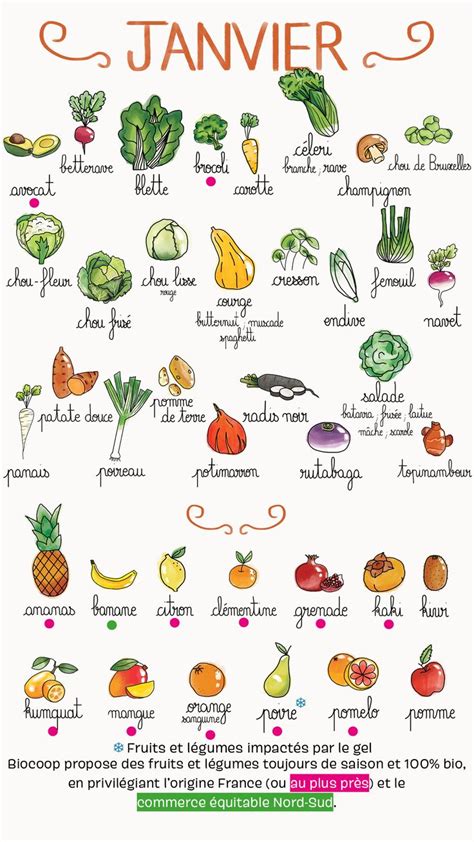 Calendrier Des Fruits Et L Gumes Du Mois De Janvier Calendrier Fruits