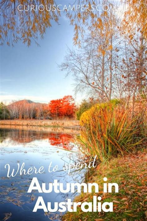 Where to Spend Autumn in Australia - Curious Campers