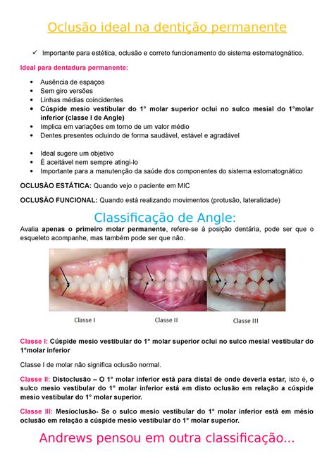 Oclus O Ideal Na Denti O Permanente Oclus O Ideal Na Denti O