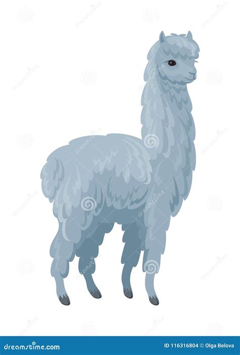 Cute Alpaca Cartoon | CartoonDealer.com #73525467