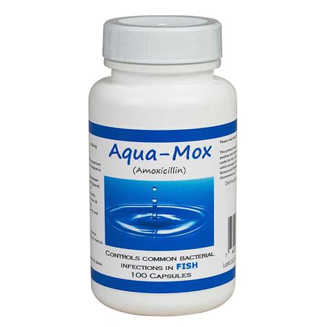 Fish Mox Forte 500 Mg Amoxicillin Free Shipping On Every Order Of