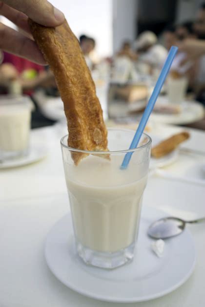 A Tour of Valencia's Horchata Fields - For 91 Days Valencia Travel Blog