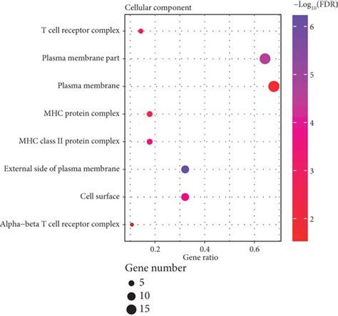 Functional And Pathway Enrichment Analysis Of Pd And Tim A