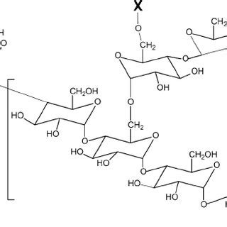 Representative formula of amylopectin-rich starch (X 1⁄4 H) and its ...