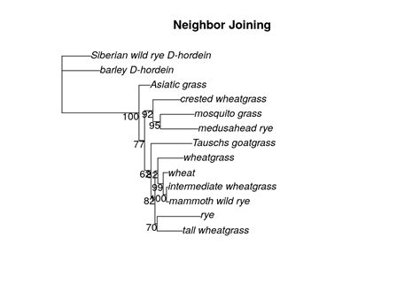 Chapter 15 Building a parsimony tree | Molecular Phylogenetic Techniques