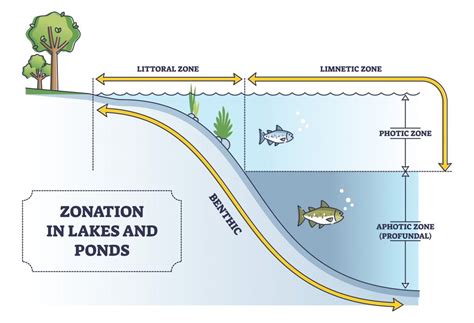 What is the Difference Between a Lake and a Pond?