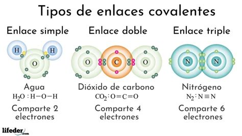 Enlace Covalente Características Tipos Ejemplos