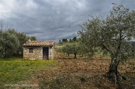 Un Cabanon Dans Les Oliviers Christian Man Flickr