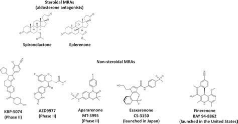 Novel Nonsteroidal Mineralocorticoid Receptor Antagonists In