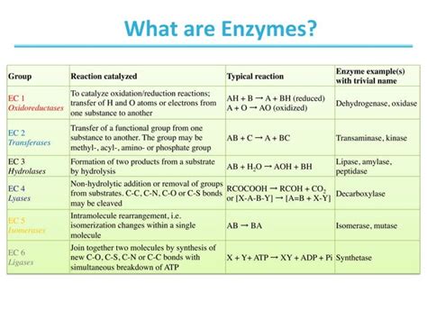 Chapter-6 enzymes - Biochemistry