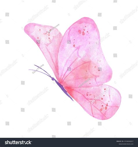 Watercolor Flying Butterfly Isolated On White 库存插图 2154042617