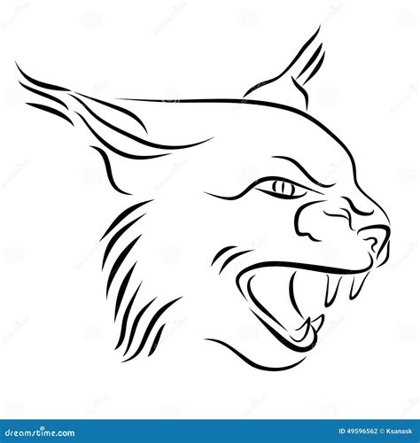 Head Of Angry Lynx Ink Line Art Stock Vector Illustration Of Cuspid