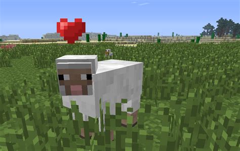 🔥 [40+] Minecraft Sheep Wallpapers | WallpaperSafari