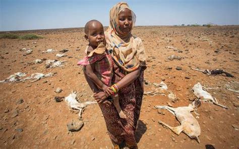 Extra EU Miljoenen Voor Hoorn Van Afrika Dagblad Van Het Noorden