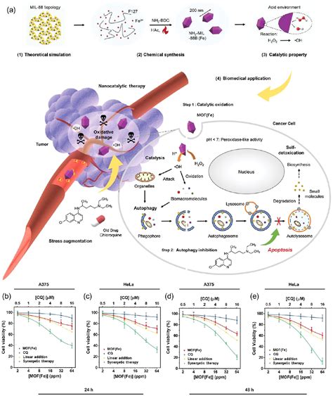 Nanocatalytic Medicine Of Iron Based Nanocatalysts Ccs Chemistry