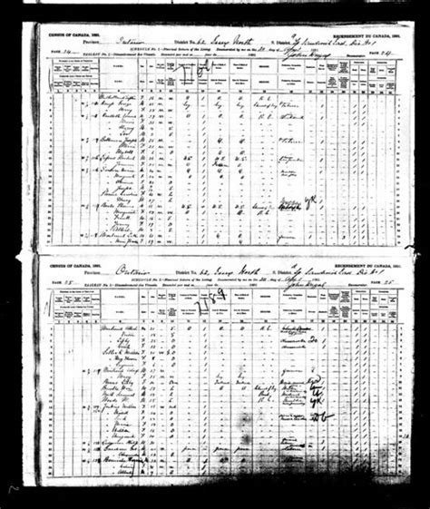 1891 Census