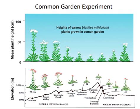 Ecology Exam 1 Flashcards Quizlet