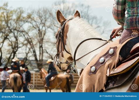 In the Saddle Horse on Western Race, Beautiful Paint Horse in a Barrel ...