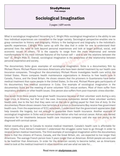 Sociological Imagination Free Essay Example