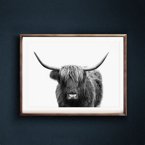 Highland Cow Print Farmhouse Wall Decor Modern Kitchen Decor Etsy