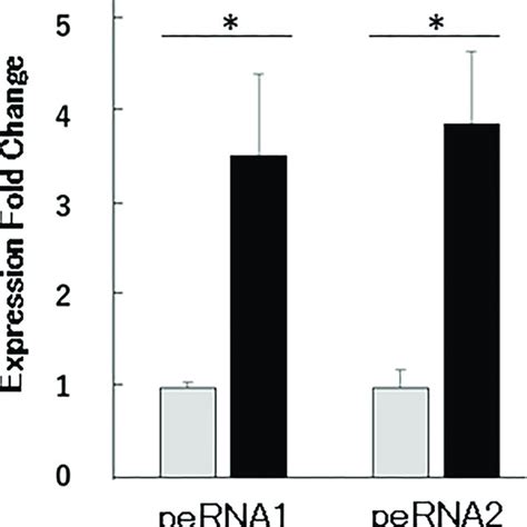 Des Induced Changes In The Expression Of Putative Ernas In The Vaginal