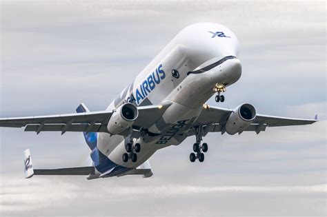 Airbus to make Beluga XL transatlantic, retire old Belugas - AeroTime