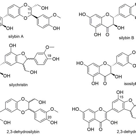 The Structures Of Selected Silymarin Flavonolignans Download