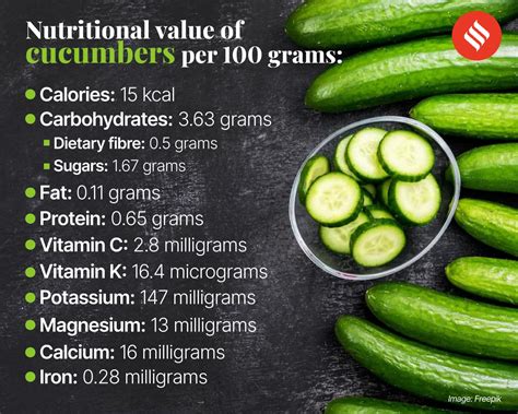 Cool Cucumber Why This Humble Superfood Is A One Stop Solution To