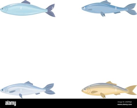 Commercial Fish Icons Set Cartoon Vector Fresh Raw Edible Cartoon Fish