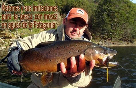 Ratones Y Sus Imitaciones Para La Pesca Con Mosca En Aguas De La