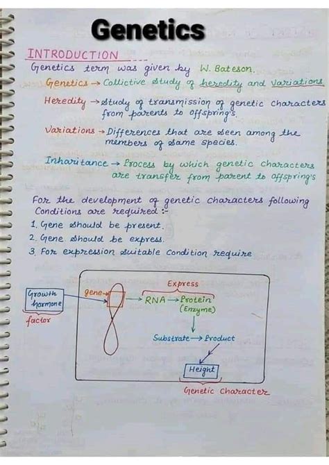 Chromosome And Genetics Biology Hand Written Notes By Best Chemistry