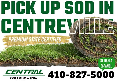 Premium State-Certified Sod for Sale in Centreville, Maryland | Pick Up