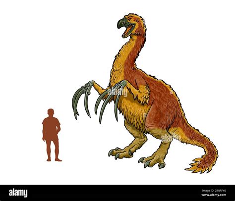 Therizinosaurus Vs Velociraptor