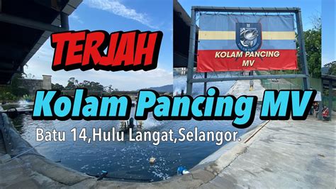 Kolam Pancing Mv Batu Hulu Langat Terjah Youtube