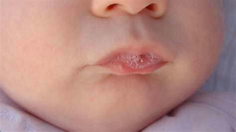 10 Curiosidades Sobre La Saliva Sumuela