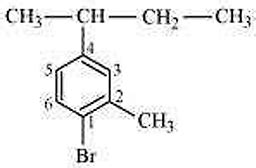 Write The Structures Of The Following Organic Halogen Compounds I