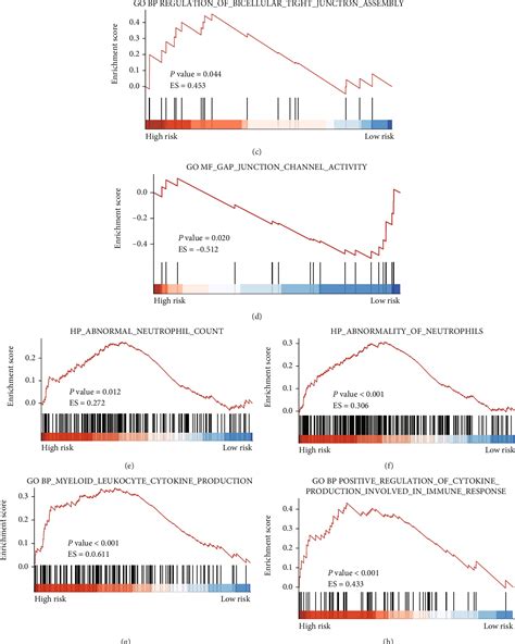 Figure From The Nine Rna Methylation Regulatory Gene Signature Is