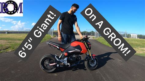 Honda Grom Tall Rider Review Youtube