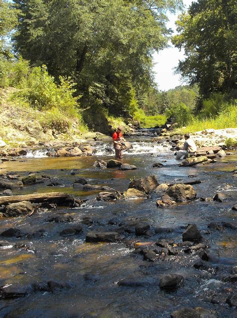 Comprehensive List of Funeral Homes in Rockingham, North Carolina 13