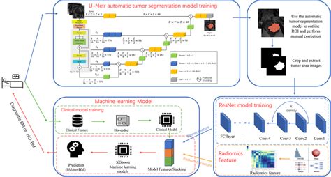 Diagram Of The Deep Learning Model Architecture The Flowchart Shows