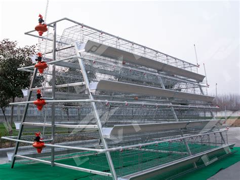 A Type Manual Layer Cage System For Sale Automatic Layer Hen Cage