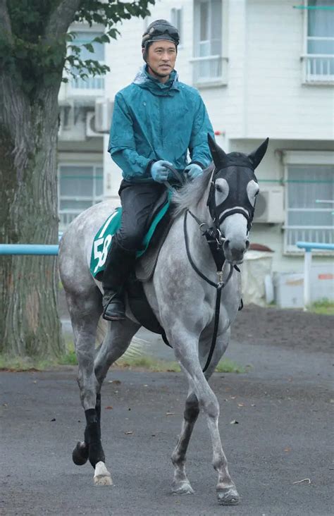 【北海道こぼれ話】レアリゼアンレーヴ 須貝厩舎＆武豊でガイアメンテに続く鮮烈デビュー期待 スポニチ競馬web