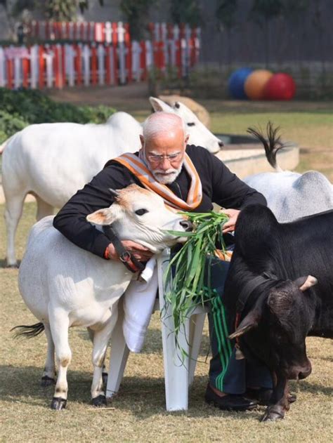 Pm Modi S Makar Sankranti Celebration Bharat Express