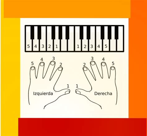 Notas Del Piano NumeraciÓn De Los Dedos Para Tocar Piano 🖐️🎹