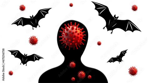 Bat Virus Transmission From Animals To Humans Isolated Nipah Bat