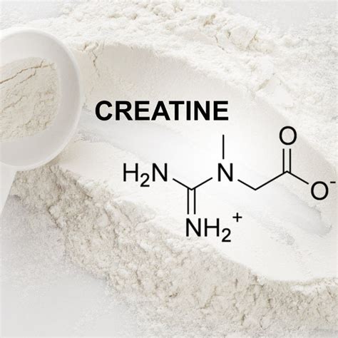 Ultimate Guide To Creatine Benefits Dosage Side Effects And Travel