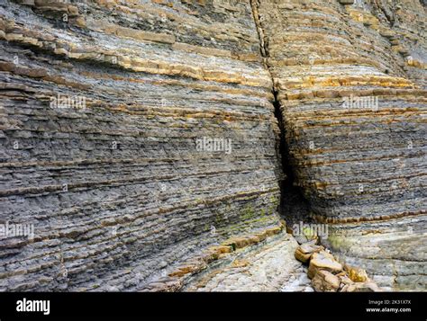 Fossil Layers Ground Surface Hi Res Stock Photography And Images Alamy