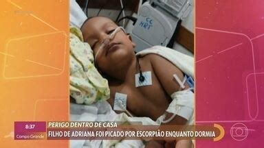 Encontro Patrícia Poeta Menino de 2 anos ficou em coma por mais