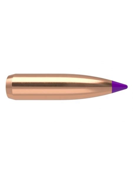 NOSLER PALLE 243 90GR BALLISTIC TIP SP 50PZ